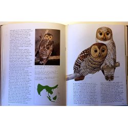 Ugler fra hele verden (FHV. BIB.)