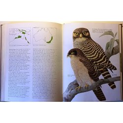 Ugler fra hele verden (FHV. BIB.)