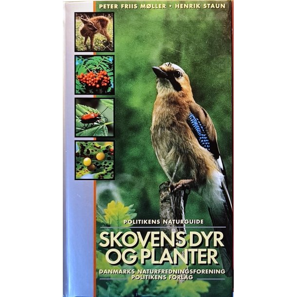 Skovens dyr og planter