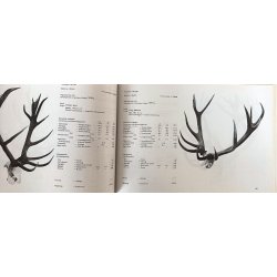 10 ev aranyermes trofei - Goldmedaillentrophen des letzten Jahrzehntes