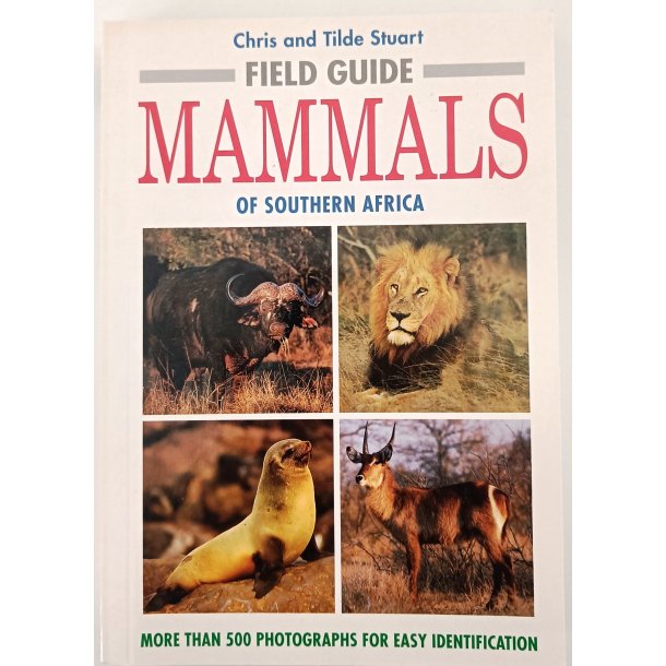 Field Guide: Mammals of Southern Africa