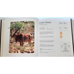 Encyclopedia of Big Game Animals in Africa