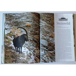 Jagdzeit International: Bergjagd