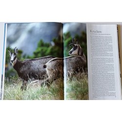 Jagdzeit International: Bergjagd