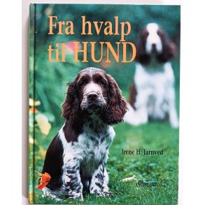 Fra hvalp til hund