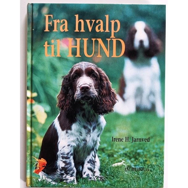 Fra hvalp til hund