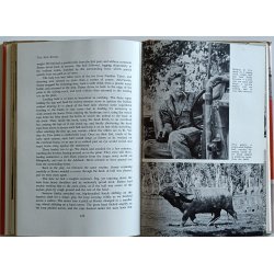 Top End Safari - Modern Travel Adventure Amongst Northern Territory Wildlife