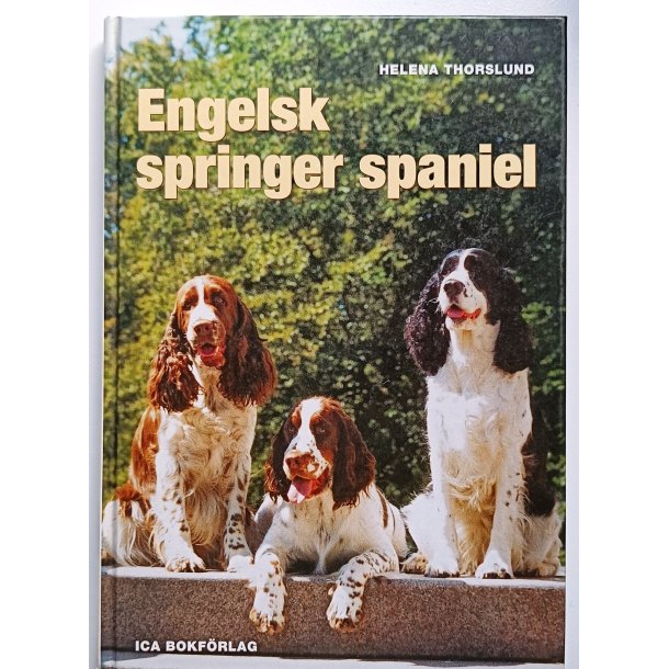 Engelsk springer spaniel