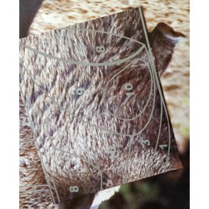 Doppelzehn: Keiler, ekstra mlomrde til reparation