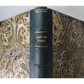 Jagt og vildt i dansk folketro 