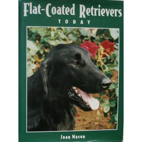 Flat-coated retrievers today