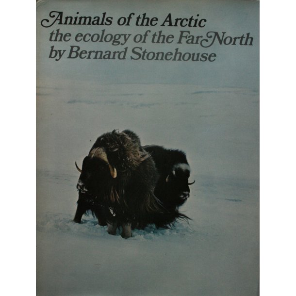 Animals of the Arctic - the Ecology of the far North