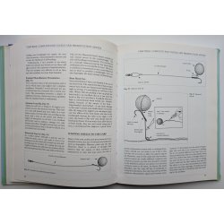 Succesful Carp Fishing