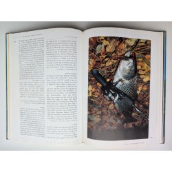 Spinnefiskeri (FHV. BIB.)