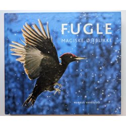 Fugle - magiske jeblikke