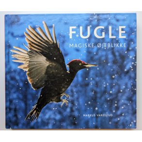 Fugle - magiske jeblikke