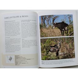 Afrikas dyreliv - safariguide
