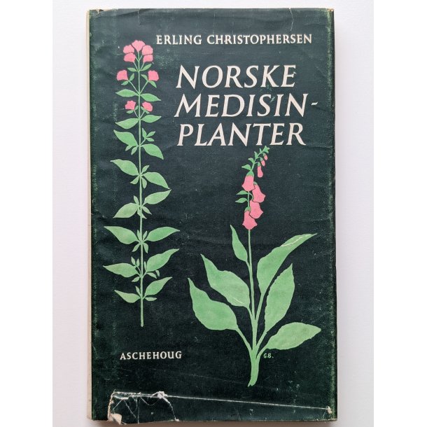 Norske medisinplanter