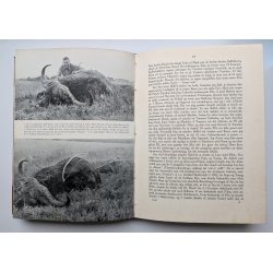 Impala &amp; Tandalla (st i ensartet halvlderbind)