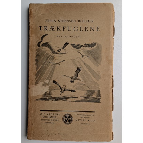 Trkfuglene - Naturconcert