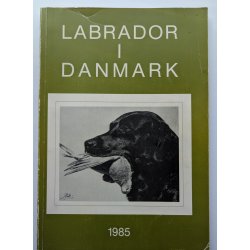 Labrador i Danmark 1985