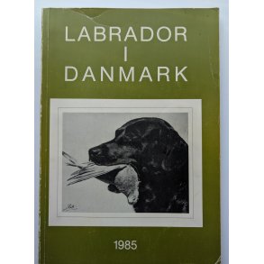 Labrador i Danmark 1985