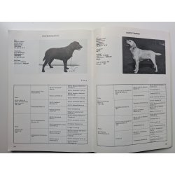 Labrador i Danmark 1985