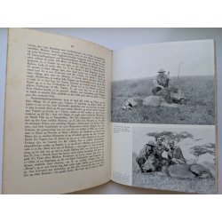 Impala (orig. halvlderindb.)