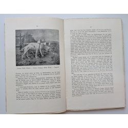 Pointeren - en Vejledning i Avl, Opdrt og Dressur