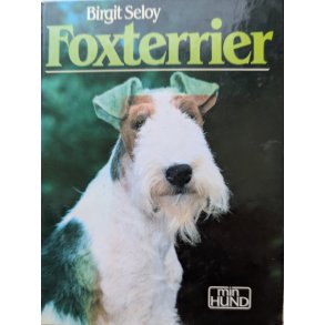 Foxterrier
