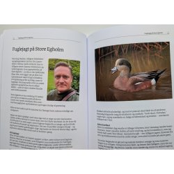 Fynske jagthistorier - fortllinger om jagt, vildt og fllesskaber