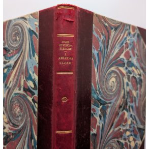 I Afrikas Kler - fra en Jagtrejse i Kenya og en Tur Afrika rundt