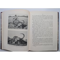 I Afrikas Kler - fra en Jagtrejse i Kenya og en Tur Afrika rundt