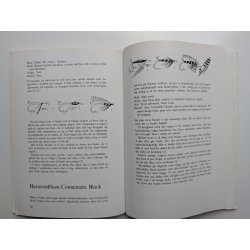 Den fuldendte fluebinder