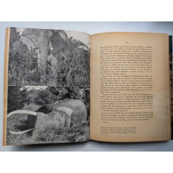 Storvildt (Bror Blixen; 1. udgave)