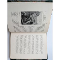 Med Lehn Schiler og Johannes Larsen i Grnland - Fugleekspeditionen 1925