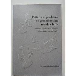 Patterns of Predation on Ground Nesting Meadow Birds