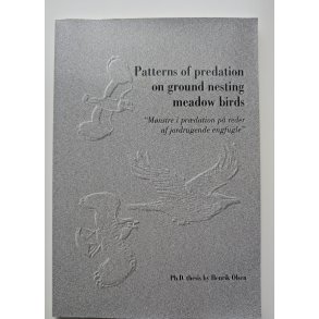 Patterns of Predation on Ground Nesting Meadow Birds