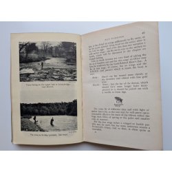 Fly Fishing (H.D. Turing)