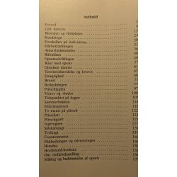 R�vildt