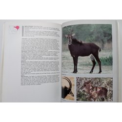 Field Guide: Mammals of Southern Africa