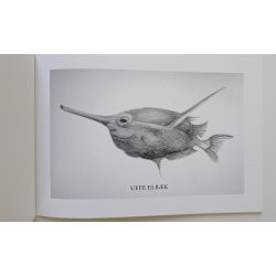 Politiske fisk