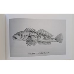 Politiske fisk