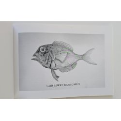 Politiske fisk