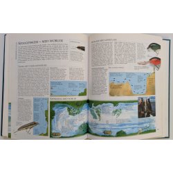 Alt om lystfiskeri
