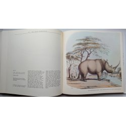 Portraits of Game &amp; Wild Animals of Southern Africa