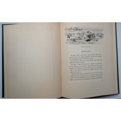 Det vildas rike (Liljefors)