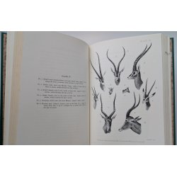 East Africa and its Big Game (numm. luksusudgave)