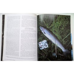 Advanced Fly Fishing for Steelhead