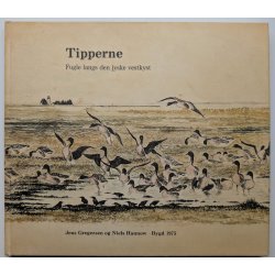 Tipperne